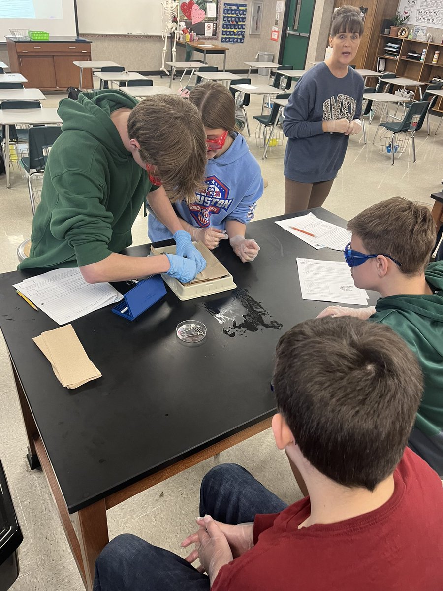 cantonhs's tweet photo. Frog Dissection Lab Day in Biology!  Excellent job! https://t.co/04KIQhsDz3