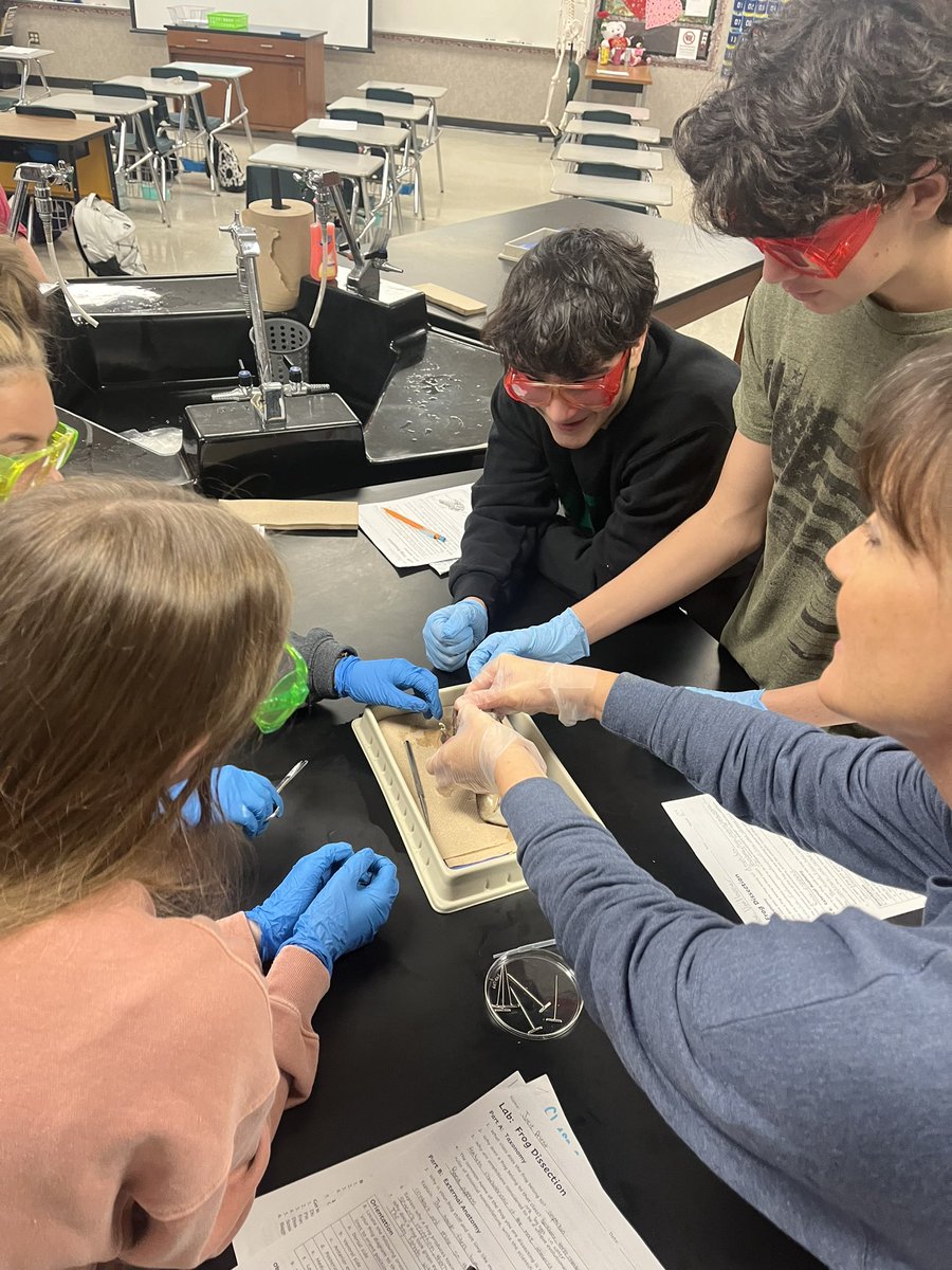 cantonhs's tweet photo. Frog Dissection Lab Day in Biology!  Excellent job! https://t.co/04KIQhsDz3