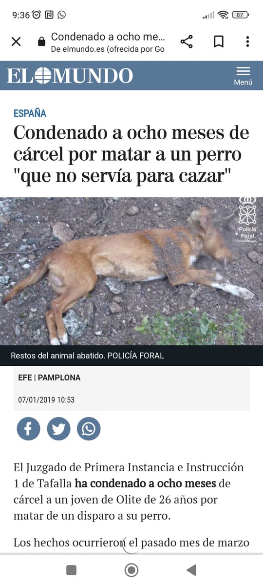 Carla tweet media