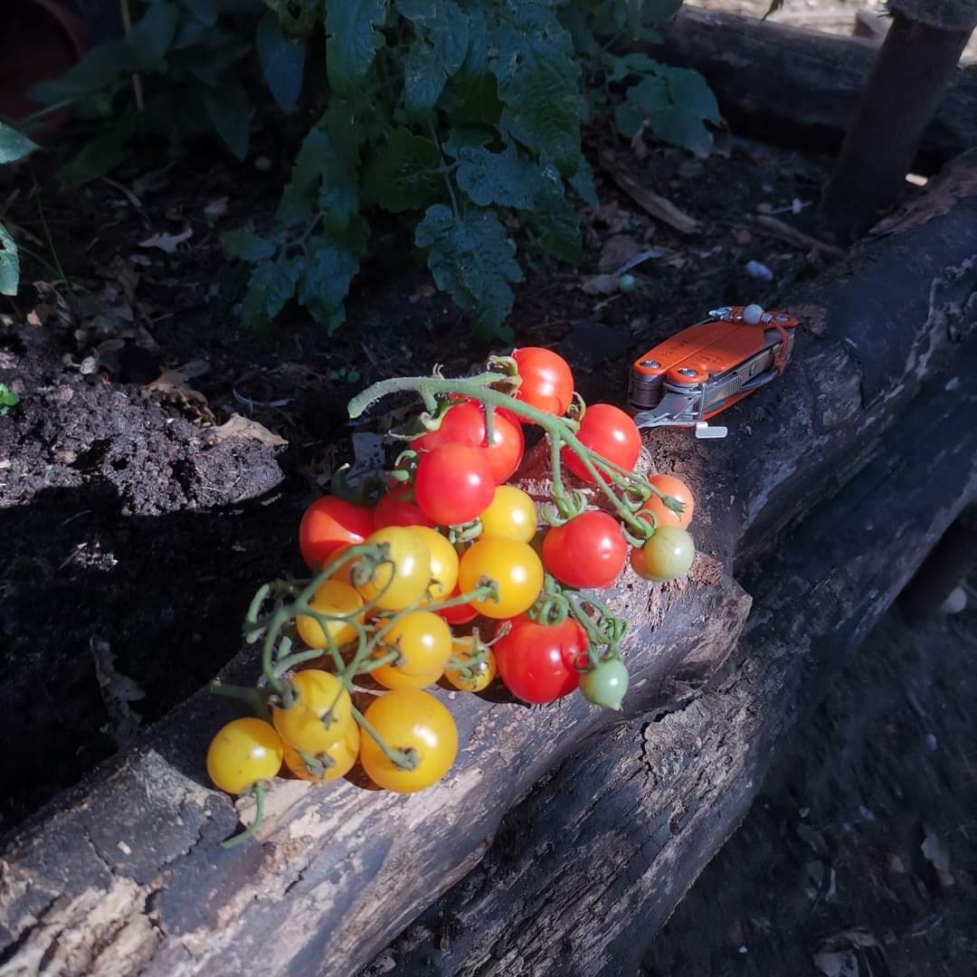 Inside Out - Bushcraft & Adventure tweet media