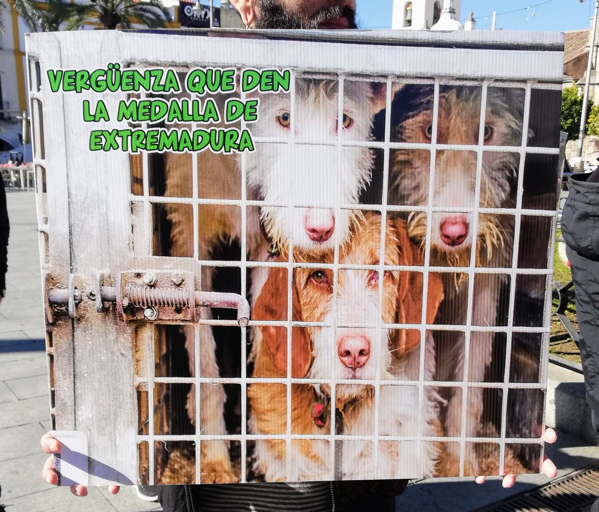 Luz Animal tweet media