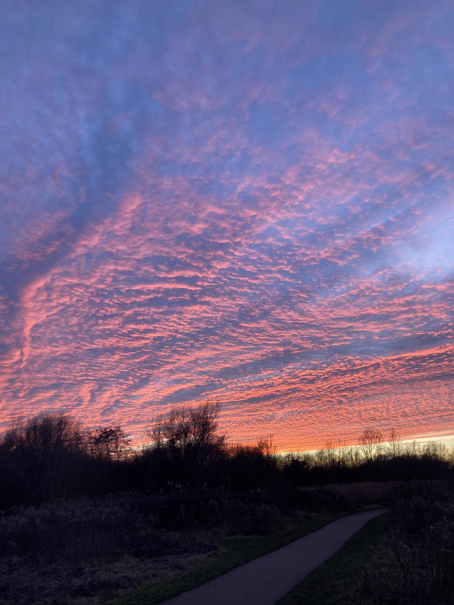 Ian 0’Flynn tweet media