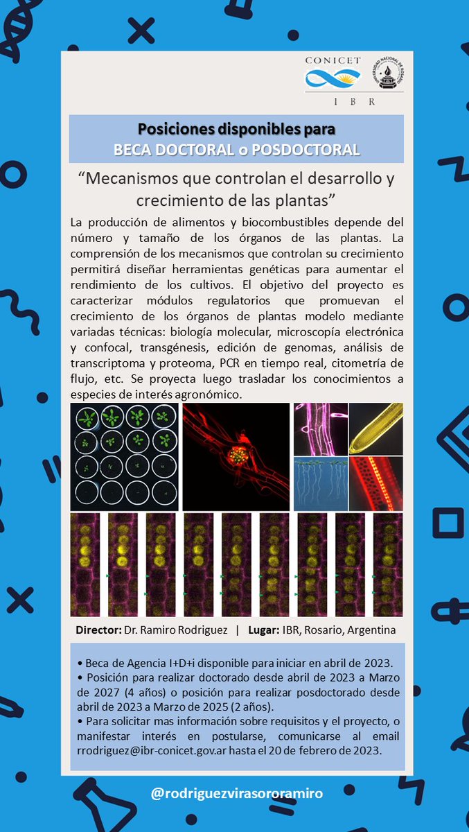 Ramiro Rodriguez tweet media