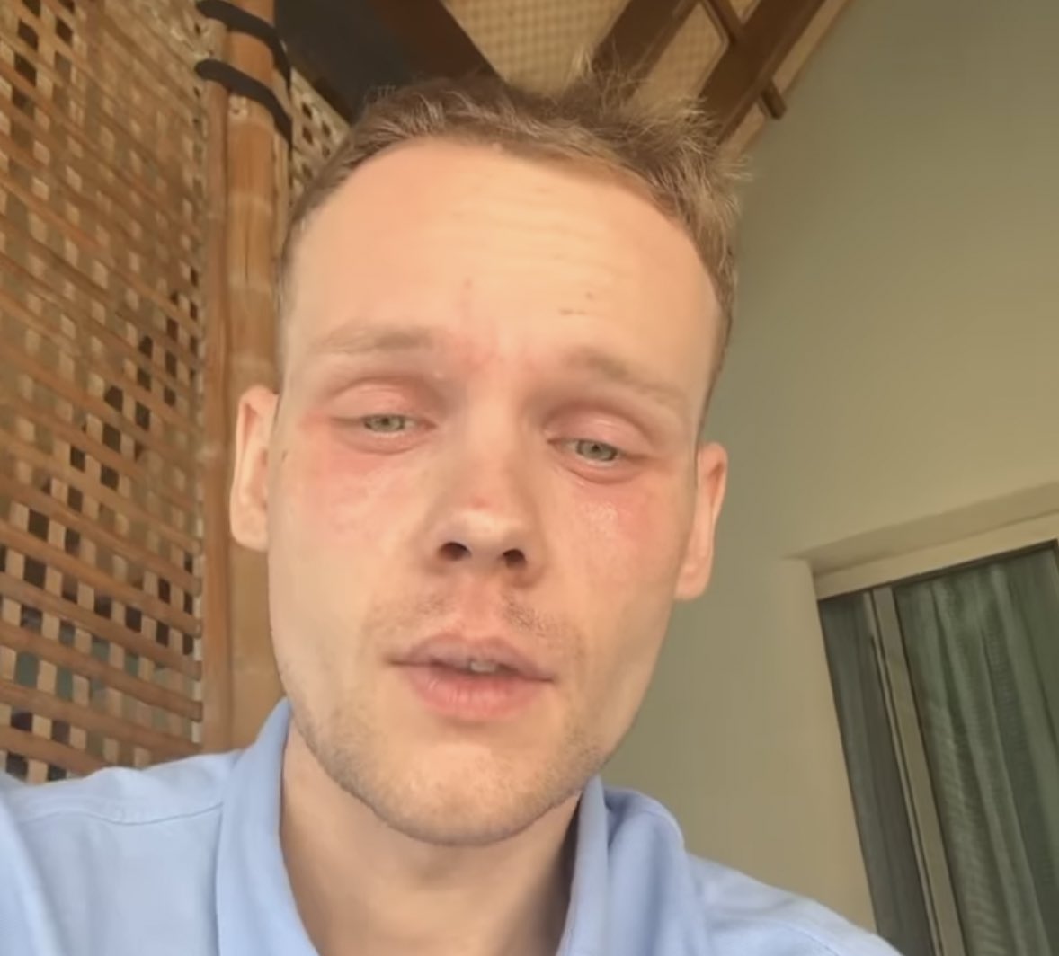 DGOstefan tweet media