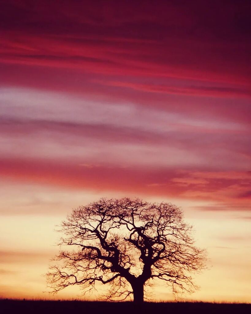 Phil King tweet media