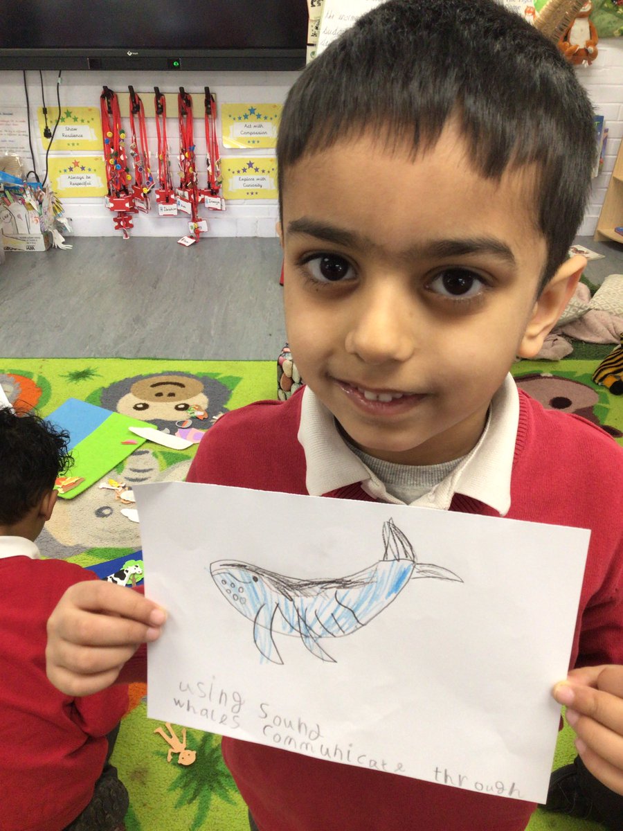 A whale was spotted in our pond!! We’ve been predicting how he got there and children have been drawing whale pictures and writing facts independently during continuous provision today! <a href="/kestrelmead/">Kestrel Mead Primary Academy</a> <a href="/MissBickleyKMPA/">Mrs Brown KMPA</a> @LeicsSCITT