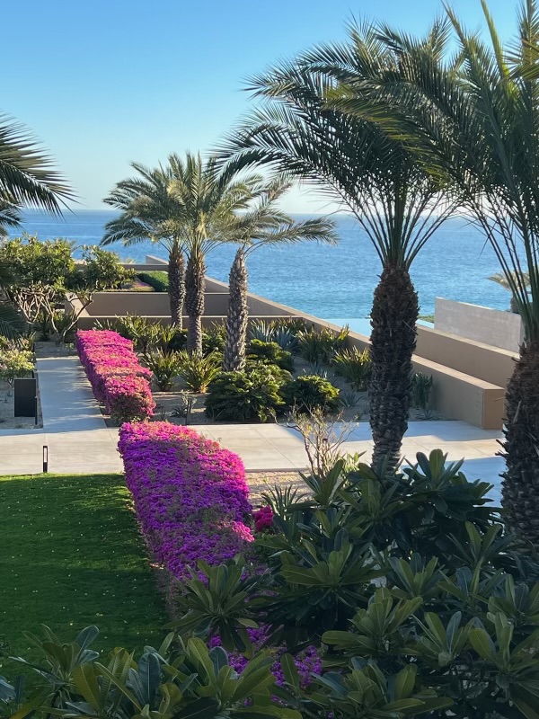 Medical Consulting Group tweet media