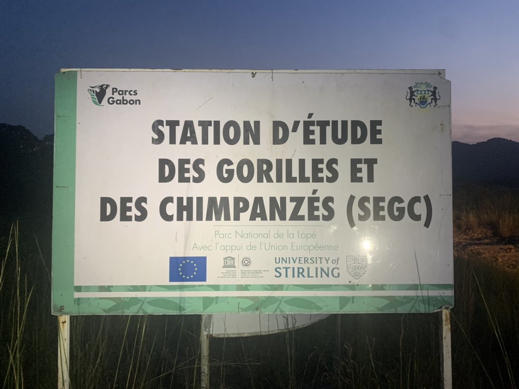 ChrisDennysUK's tweet image. Taking the slow road back to Yaoundé we took the opportunity to visit La Lopé to see the work of Dr Kate Abernethy and @StirBES and meet the latest a group of researchers #ukscience