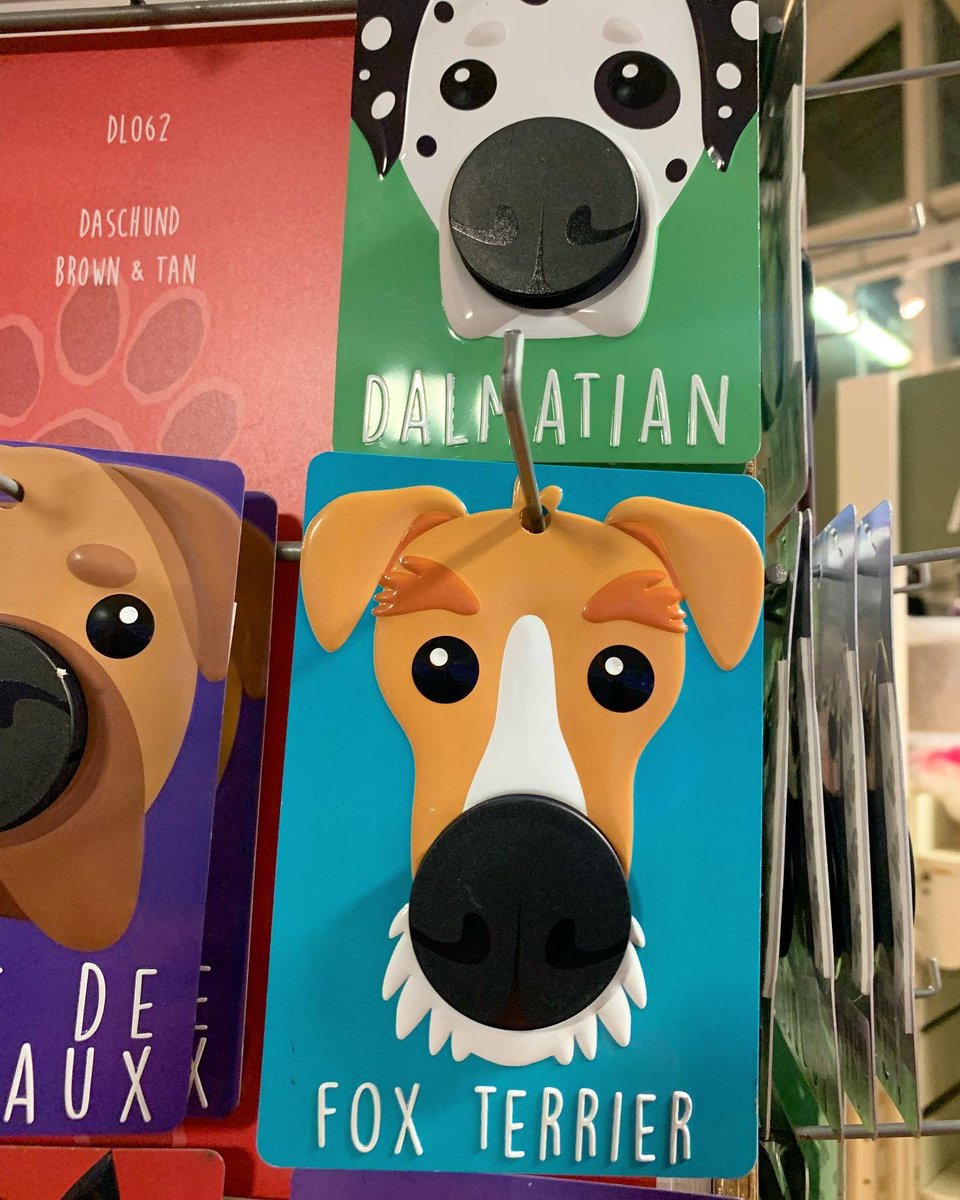 KillingBdesigns's tweet photo. Alfie stocked up our Valentine cards ♥️🧸 at @ThetfordGC and checked out the spring bulbs and fox terrier items. 🌼🪴💌📮 #killingbdesigns #killingbcards #thetfordgardencentre #gardencentre #norfolk #norfolklife #spring #foxterrier #wirefoxterrier https://t.co/d34l05Rog3