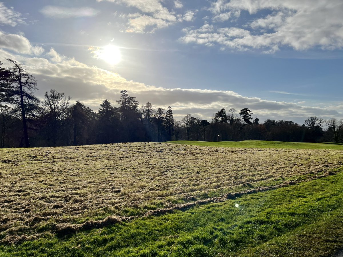 Andrealeyden20's tweet photo. Great start to the #NCIWalkingChallenge2023 today with a decent step count around Maynooth and Carton House. Here’s hoping to keep these number up until 3rd March! #TeamScrambledLegs https://t.co/JE18EeKQYI