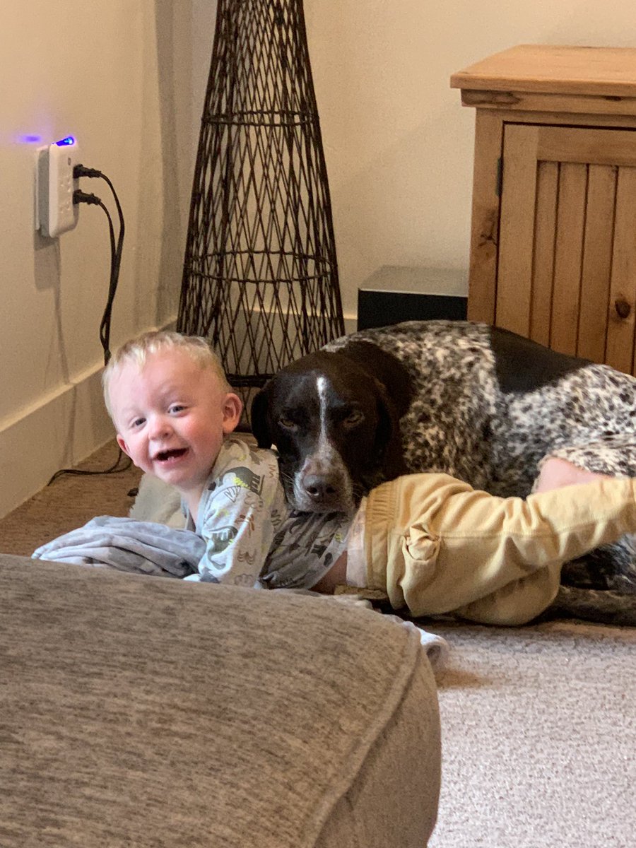 JordanTblad97's tweet photo. A boy and his dogs ♥️

Excuse me while I cry happy tears https://t.co/qO87CabVwH