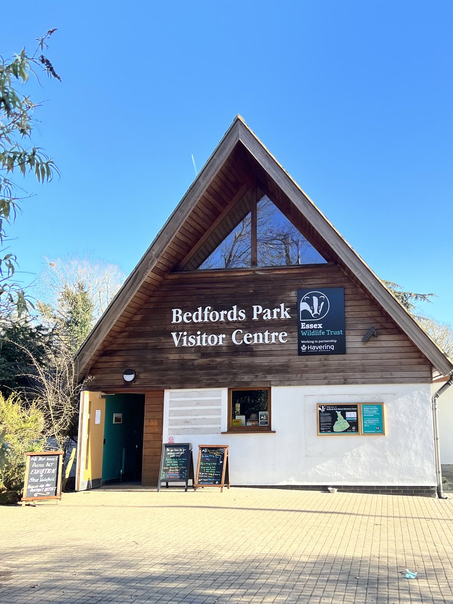 Perfect sunshine at Bedfords Park today <a href="/EssexWildlife/">Essex Wildlife Trust</a> 🦌
