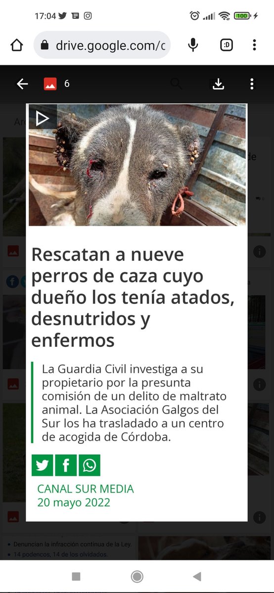 #SanchezConElMaltratoAnimal
<a href="/sanchezcastejon/">Pedro Sánchez</a>
@psoe
<a href="/gpscongreso/">PSOE Congreso</a>
<a href="/desdelamoncloa/">La Moncloa</a>
RETIRAD la enmienda que dejan a los perros de los cazadores y otros animales sin protección.