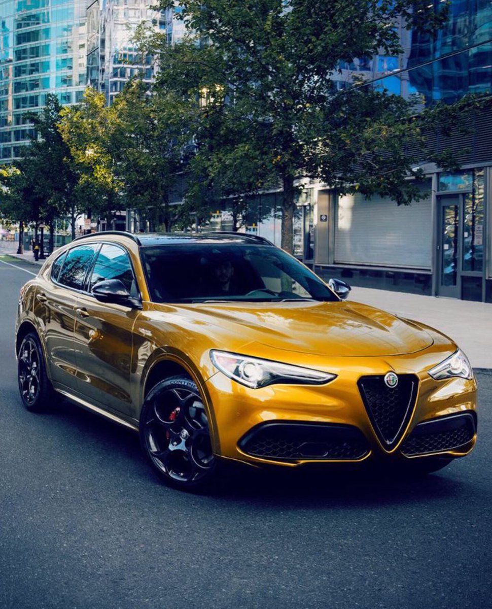 It’s The Details For Us ⚠️ #Stelvio @AlfaRomeoUSA 

#AlfaRomeo #AlfaRomeoStelvio #LuxurySUV #SUV #DreamSUV #DreamCar #CarGoals #SUVGoals #ChaddsFordPA