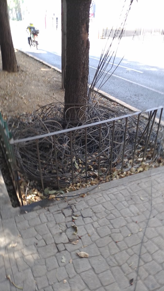 Gustavo A. Estrella tweet media