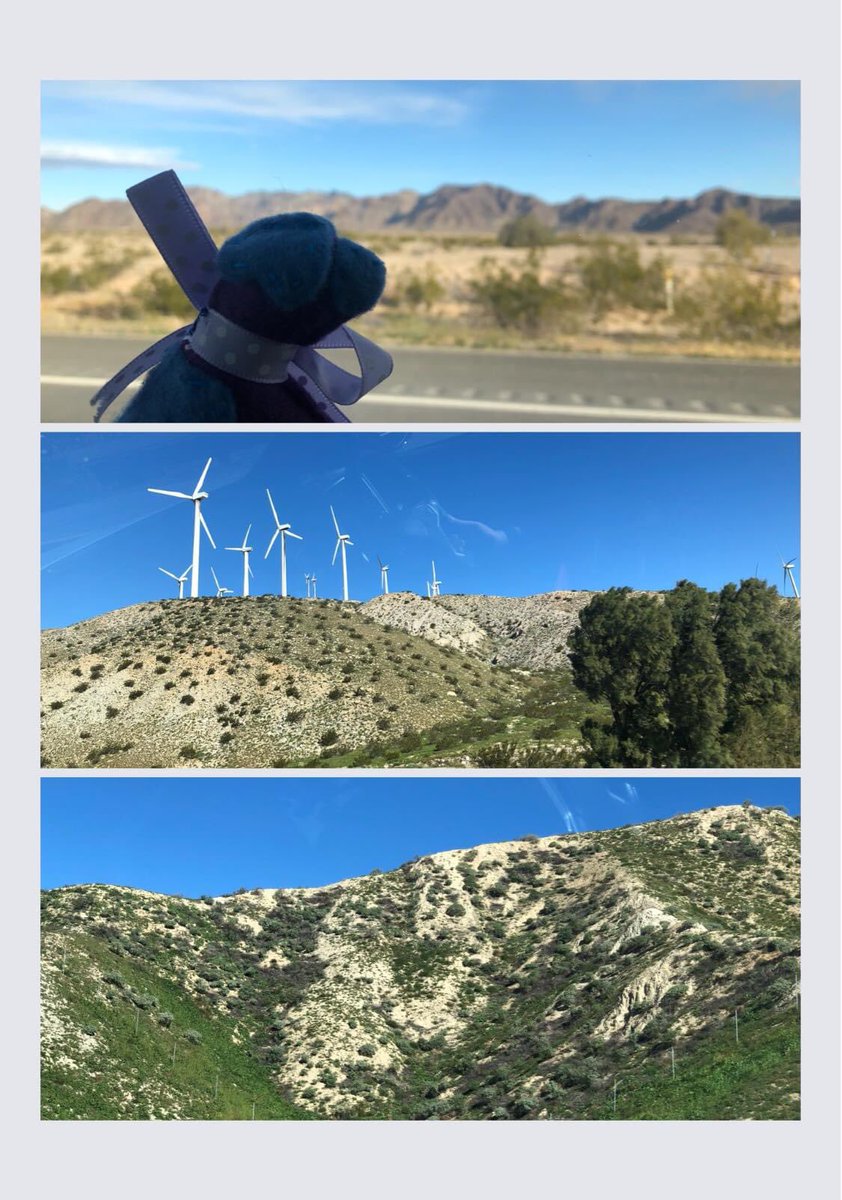 On the road with Ada for a surprise vacation adventure. #Arizona #California #hounds4huntingtons #sybilontour #southwestadventure
