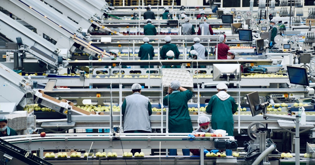 Morpheus.Network tweet media