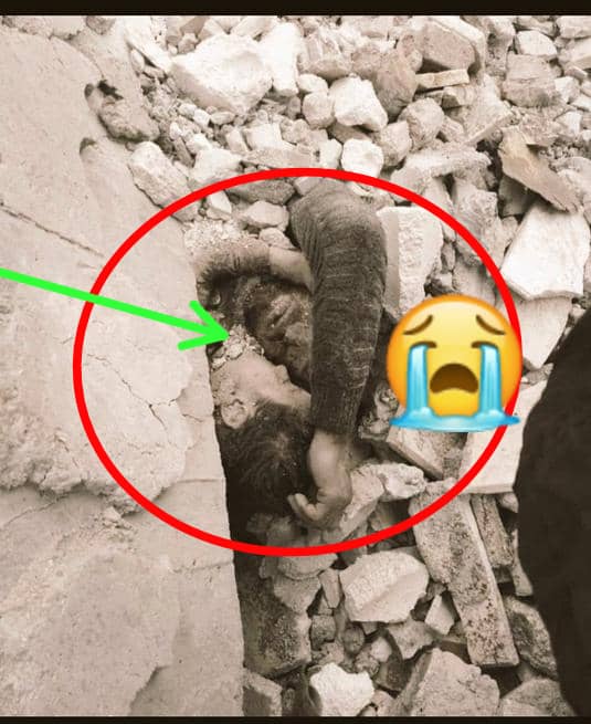 CengizCoskuun's tweet photo. My heart just dropped seeing the videos
May Allah Almighty help and protect them 🇹🇷🇹🇷
#PrayersForTurkey 
#earthquakeinturkey https://t.co/HGdbRQqhuj