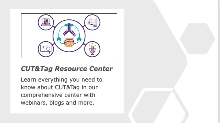 activemotif's tweet photo. Getting started with CUT&Tag? Get helpful eBooks, webinars, and all the tools you need to know before you begin: https://t.co/MmhzYxmY8g
#epigenetics #CUTnTag #Genomics #Immunology https://t.co/U0Q2ebVsvR