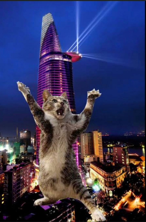 catecoin's tweet photo. Cats rule the world! 
Let #Catecoin and #Catpay green candles be as tall as Bhurj khalifa!
#HODL HODL #HODL https://t.co/kzIBhiWWSV