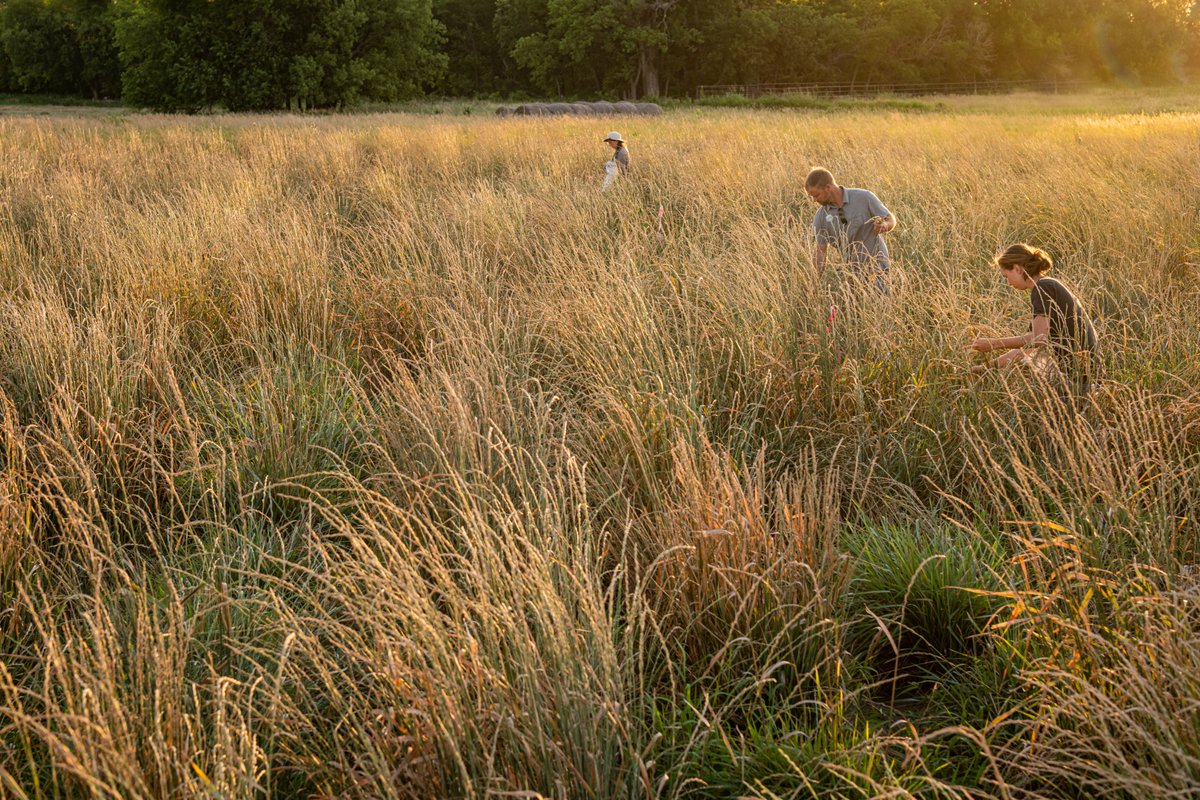 The Land Institute tweet media