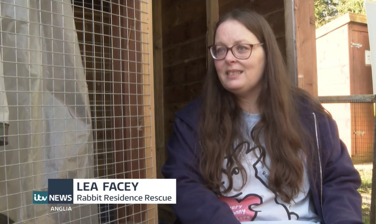 The Rabbit Residence tweet media