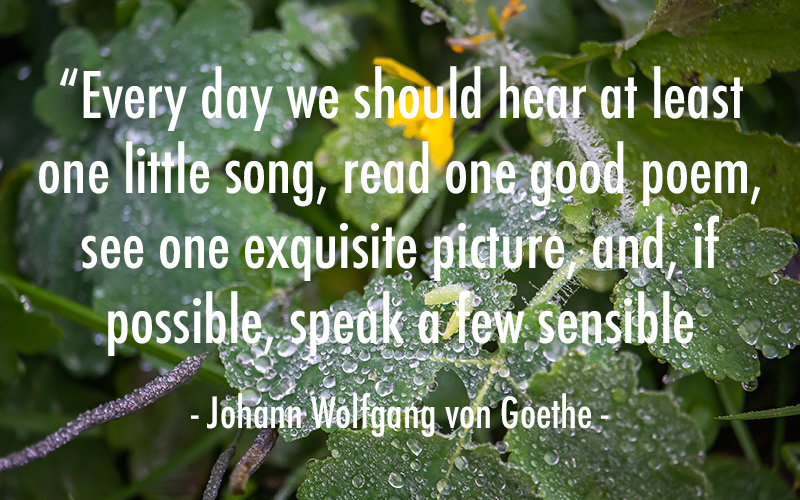 YMCA Blue Water Area tweet media