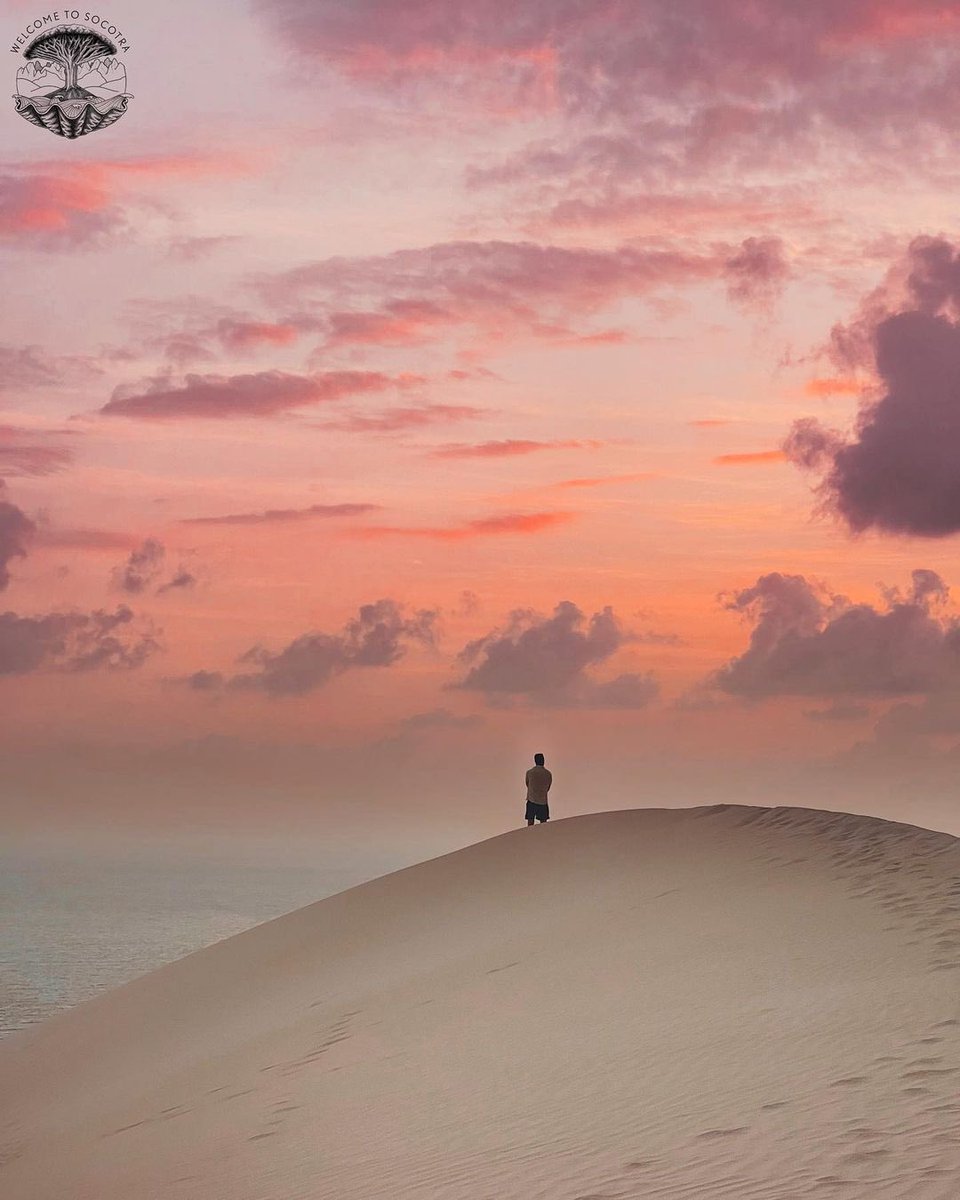 arab11__'s tweet photo. Socotra Island, Yemen https://t.co/kWMa1aq6WS
