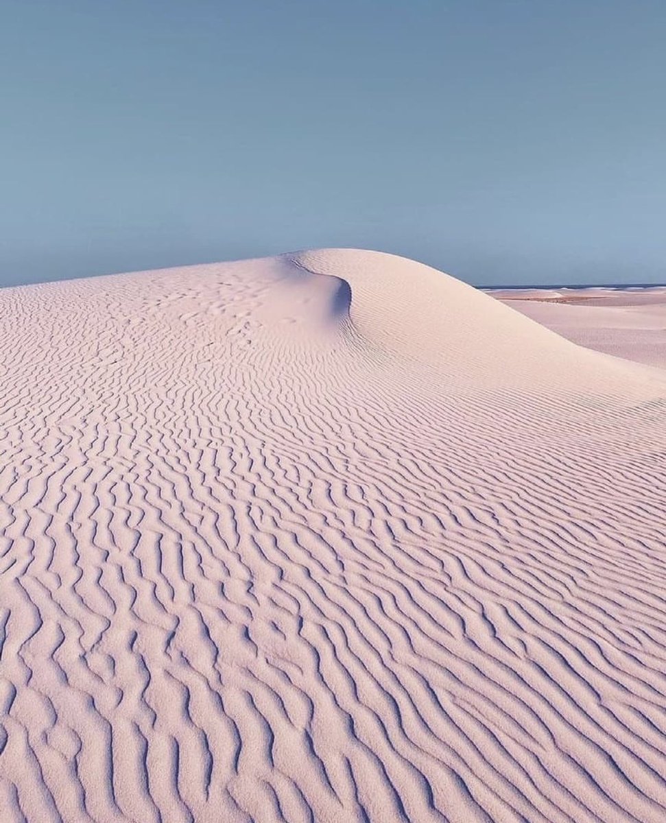 arab11__'s tweet photo. Socotra Island, Yemen https://t.co/kWMa1aq6WS