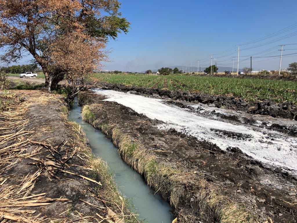 sserment's tweet photo. Estabilización con cal de camino saca cosechas en Zacatepec Morelos. Es una alternativa con las 3 B’s, buena (resiliente), bonita (sustentable) y barata. #Estabilical #Calidra #SiempreAhí https://t.co/BsOZdhnUOr