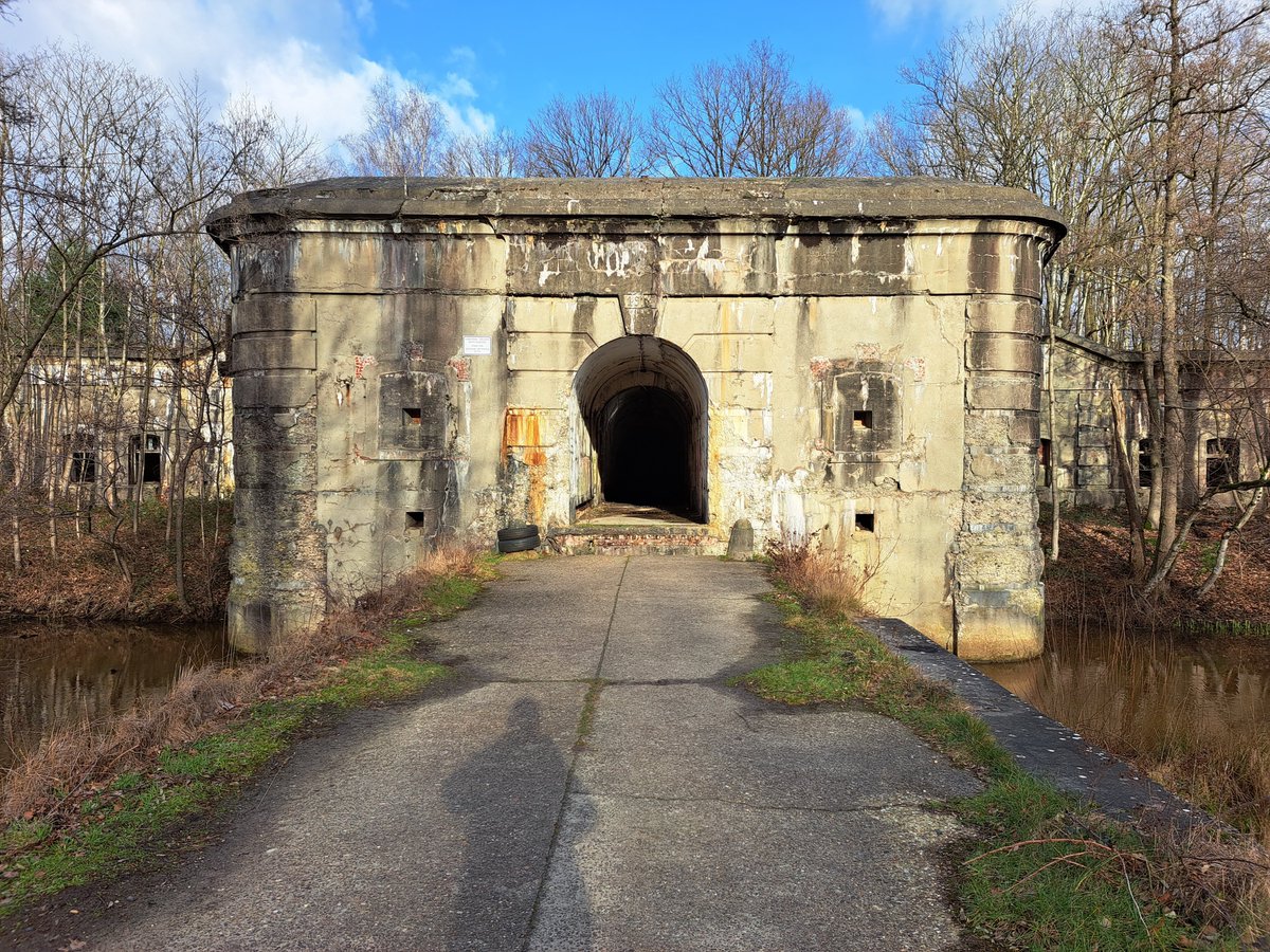 Gerrie Abel tweet media