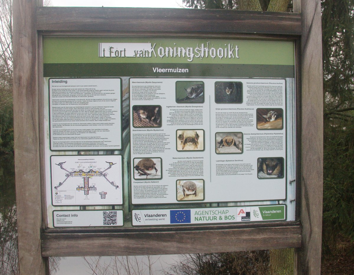 Gerrie Abel tweet media