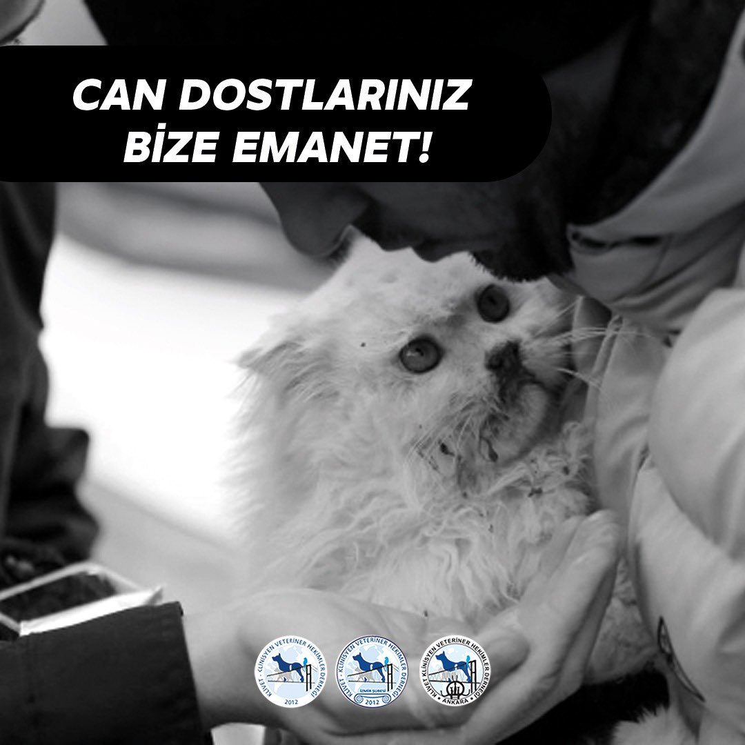 Deprem bölgelerimizde evine giremeyen vatandaşlarımızın can dostları bize emanet. Bu süreçte can dostlarını kliniklerinde misafir eden meslektaşlarımıza mama ve ilaç desteğimiz olacaktır. Kliniklerinde bu yardımı sağlayacak meslektaşlarımız lütfen bizimle iletişime geçiniz.