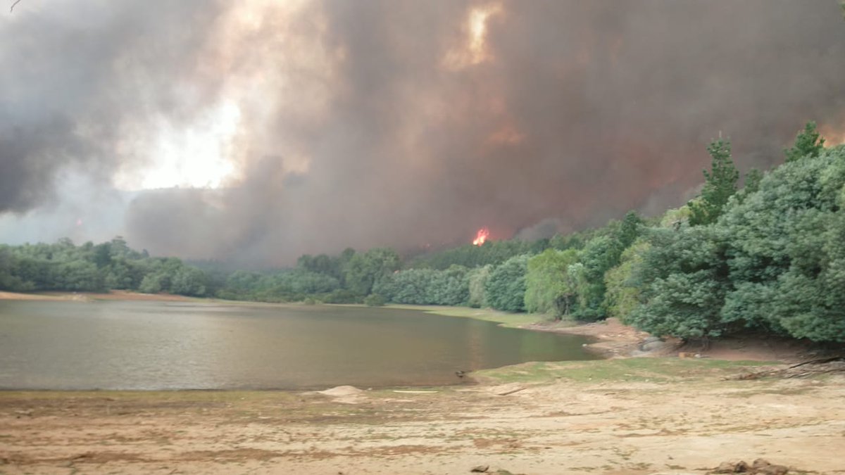 muni_renaico's tweet photo. SECTORES DE EL ALMENDRO Y TOLPAN FUERON LOS MAS AFECTADOS POR LOS INCENDIOS https://t.co/GNN1cObNnf