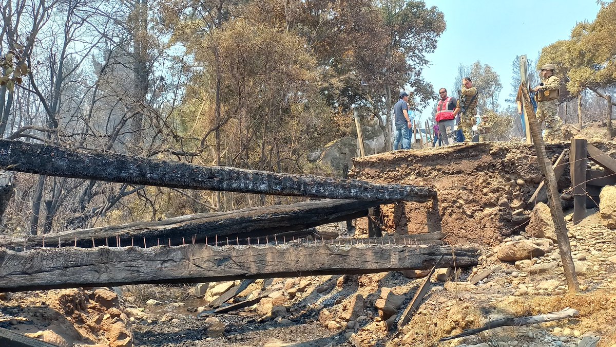 SECTORES DE EL ALMENDRO Y TOLPAN FUERON LOS MAS AFECTADOS POR LOS INCENDIOS