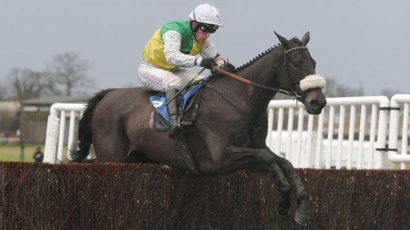 Joe Porter tweet media