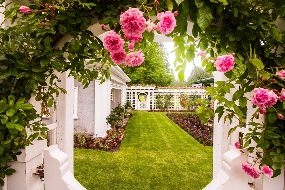 JigsawWorldGame's tweet photo. Enjoy our newest set in the game now - Glorious Gardens 10!!

#Jigsaw #Puzzle #Puzzles #Game https://t.co/QVs1Kd0osG