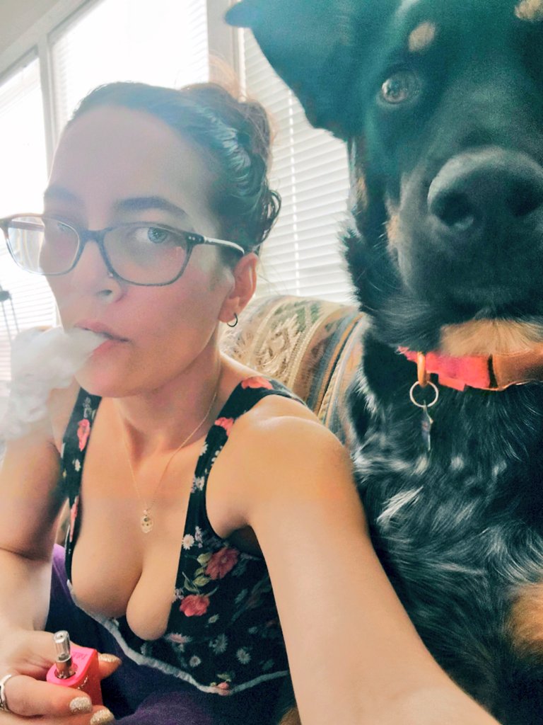 BlazeeJane tweet media