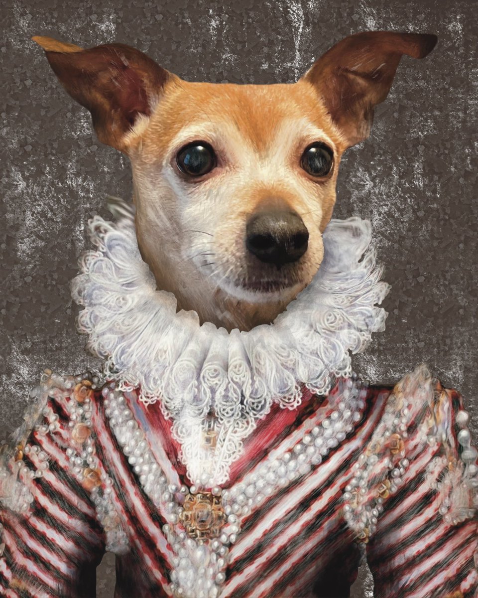 BentleyChiweeni's tweet photo. @bunsenbernerbmd Henlo! I Bentley Wayne the chiweenie, my momma @being_beckeroni say I can be “B” or “Be” on peridogtic table of elements 🐾🐶 @steelrfn10 call me “Blanket Badger” https://t.co/ydBJQsEqPE
