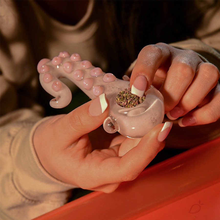 Still can’t get over this adorable tentacle pipe🦑 have you seen our *extensive* glass options? 
#cannabispipe #pipe #weedlover #weedsmoker