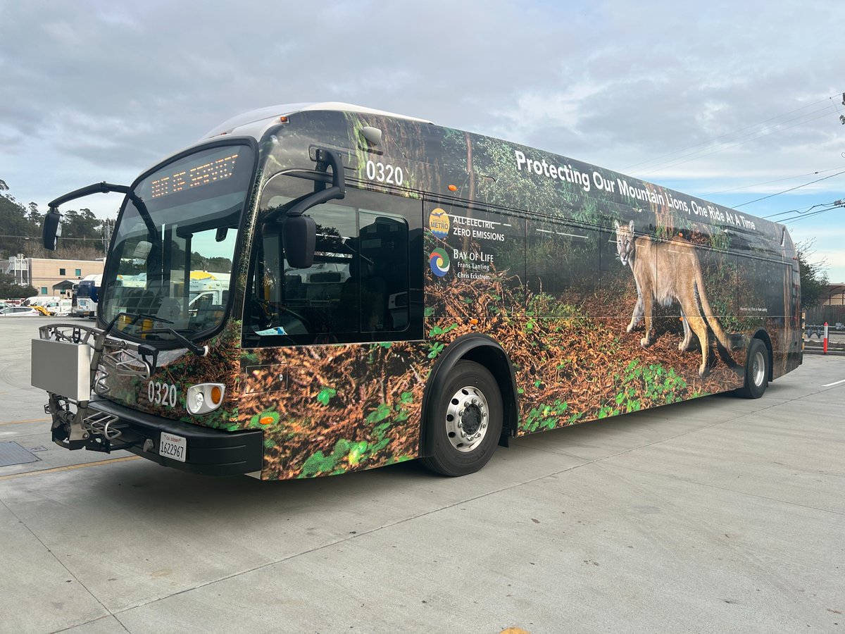 SantaCruzMETRO's tweet photo. Photos by @LantingFrans
#scmtd #santacruz #metro #environment #biodiversity #humpbackwhales #moutainlions #cougars #franslanting #chriseckstrom #bayoflifeproject #montereybaynationalmarinesanctuary https://t.co/UWBUNmT1CN