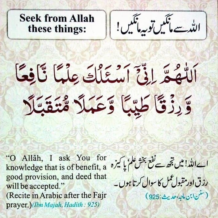 Quraan_Sayings's tweet photo. Recite and Retweet. https://t.co/pEaGgQ5Xrv