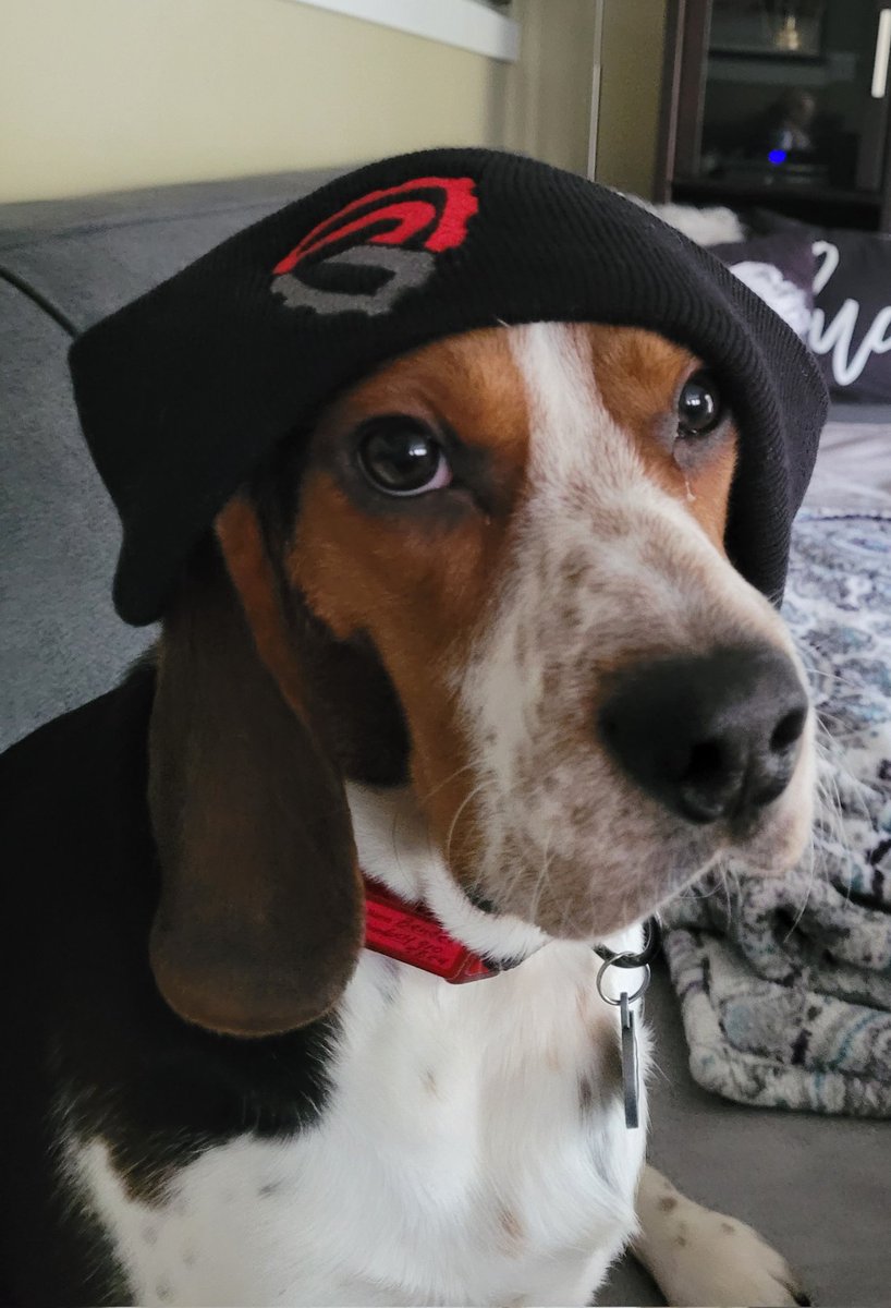 TrishJewison's tweet photo. I may be a bit biased, but my dog is the cutest. 😍 #SorryNotSorry  #BendertheOffender https://t.co/JpVzQoQjfN