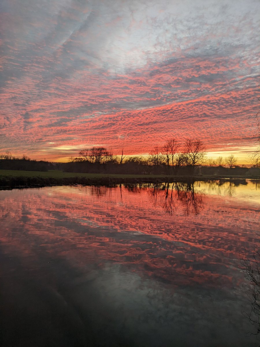 Jo Welford tweet media