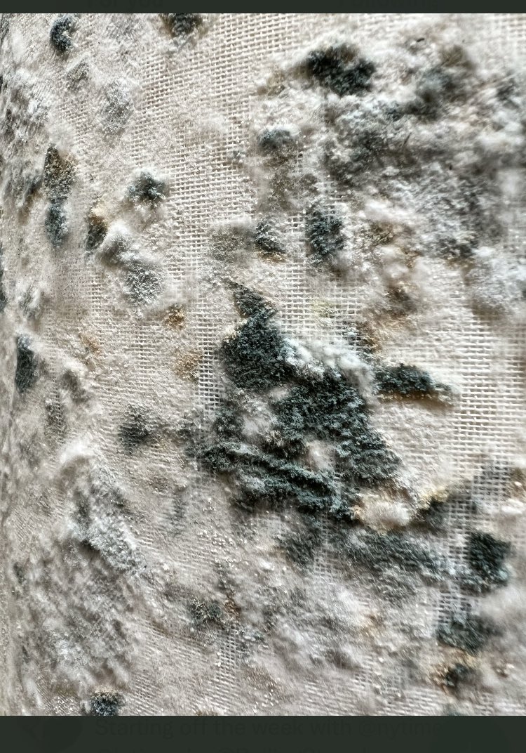 Mold splotches on cheesecloth