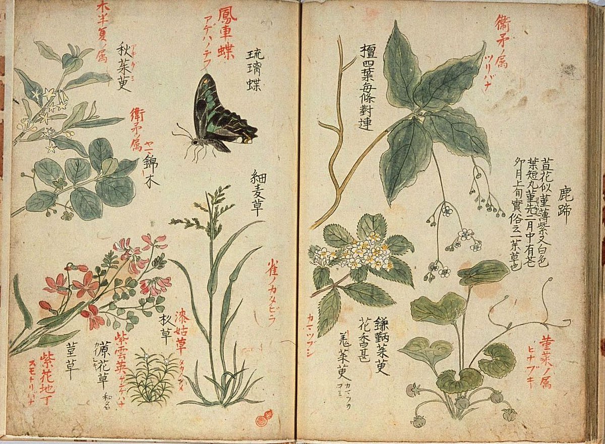 @Toshi様のみ TVアニメ『BLEACH 千年血戦篇』 - 茶渡泰虎 Botania 角丸強化