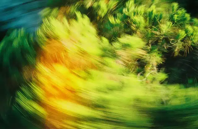 Evening Trader Group tweet media