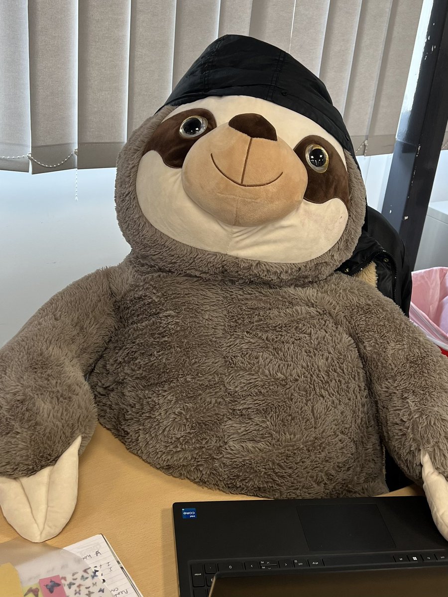 TKASAMrsPether's tweet image. The students love our new member of the team ☺️👍🏻 #sloth #tkasateam #learningsupport