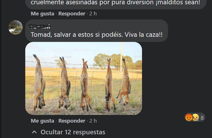 EquipoEra's tweet photo. #PedroSanchez Tus amigos los cazatas se divierten matando a seres inocentes, lo mismo que hacen con sus perros. Tu enmienda los deja desprotegidos, las leyes son para todos.

#SanchezConElMaltratoAnimal
@sanchezcastejon
@PSOE @gpscongreso @desdelamoncloa https://t.co/8u8Kuden3q