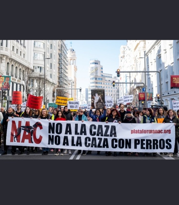 diditranslator1's tweet photo. @PSOE @gpscongreso @isabelrguez Alarma social... más de 50 ciudades europeas se han manifestado el 5F para que retiréis la enmienda!
#SanchezConElMaltratoAnimal

@sanchezcastejon 
@PSOE
@gpscongreso 
@desdelamoncloa https://t.co/K4ypypeWOB